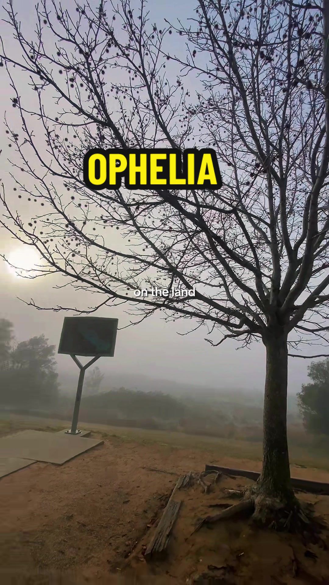 @Owenskiifpv