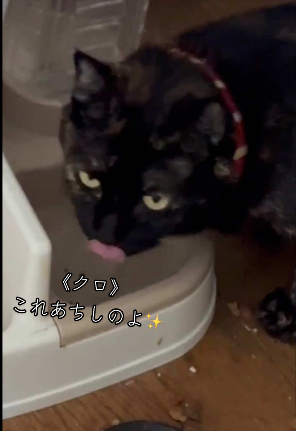 @聴々物語PROJECT