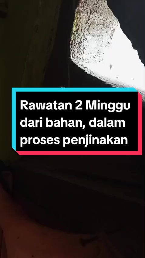 @bexjaya