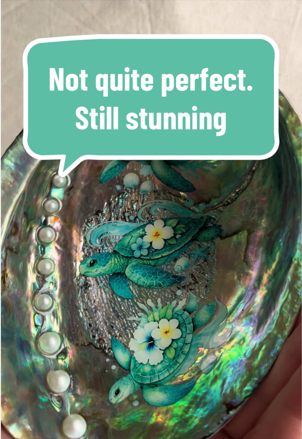 @Dusty J Designs | Shells