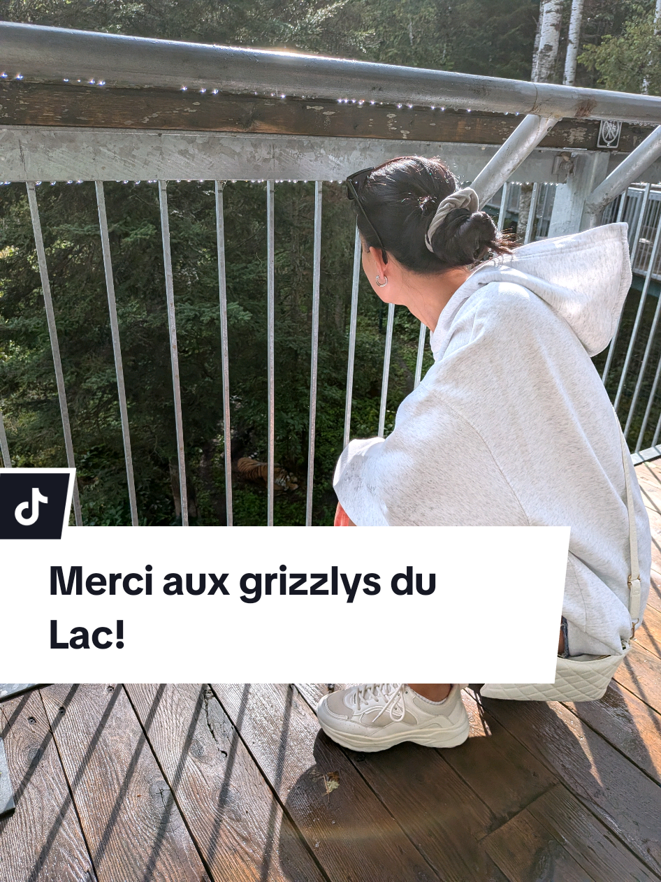 @Marie Di Croci