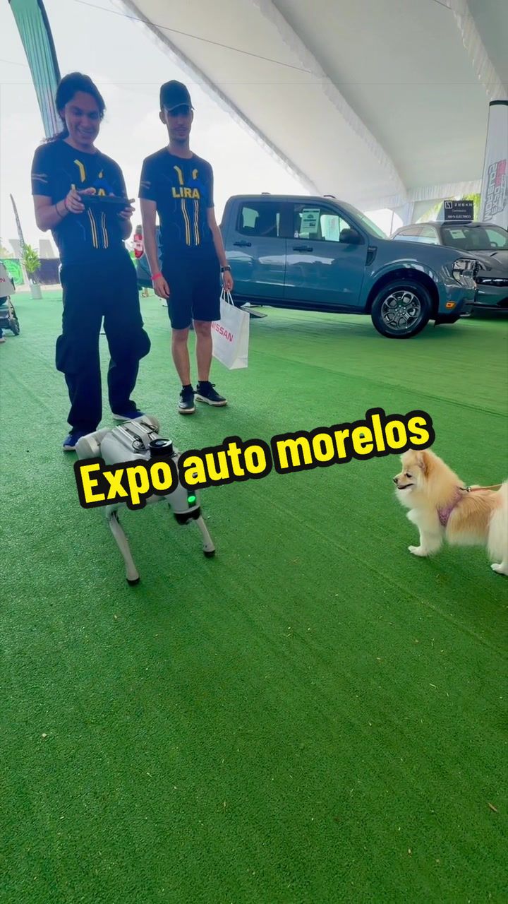 @elbauldemorelosoficial