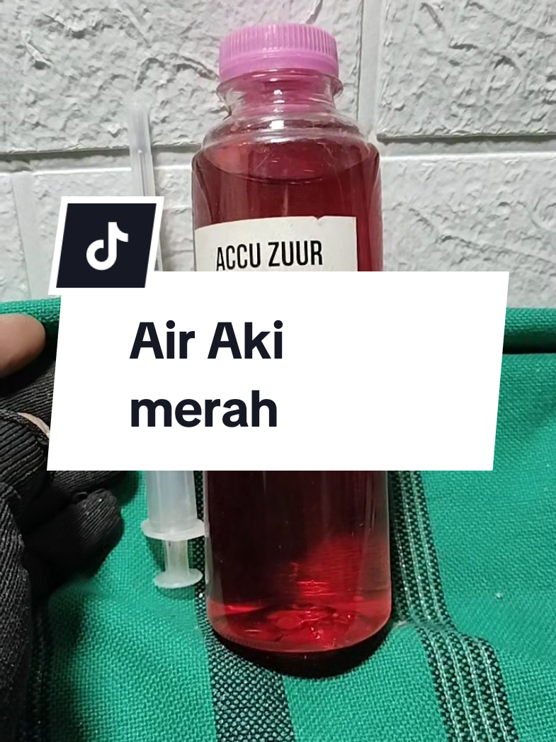 @WONK CEDAL R
