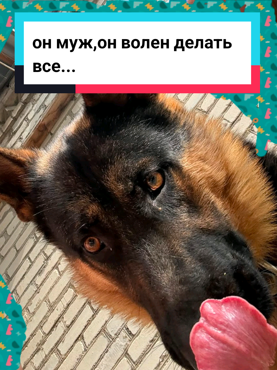 @Рыся✔️🇧🇾
