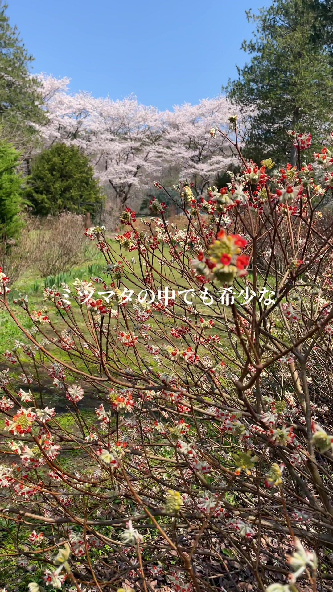 @paぱぱすtyle