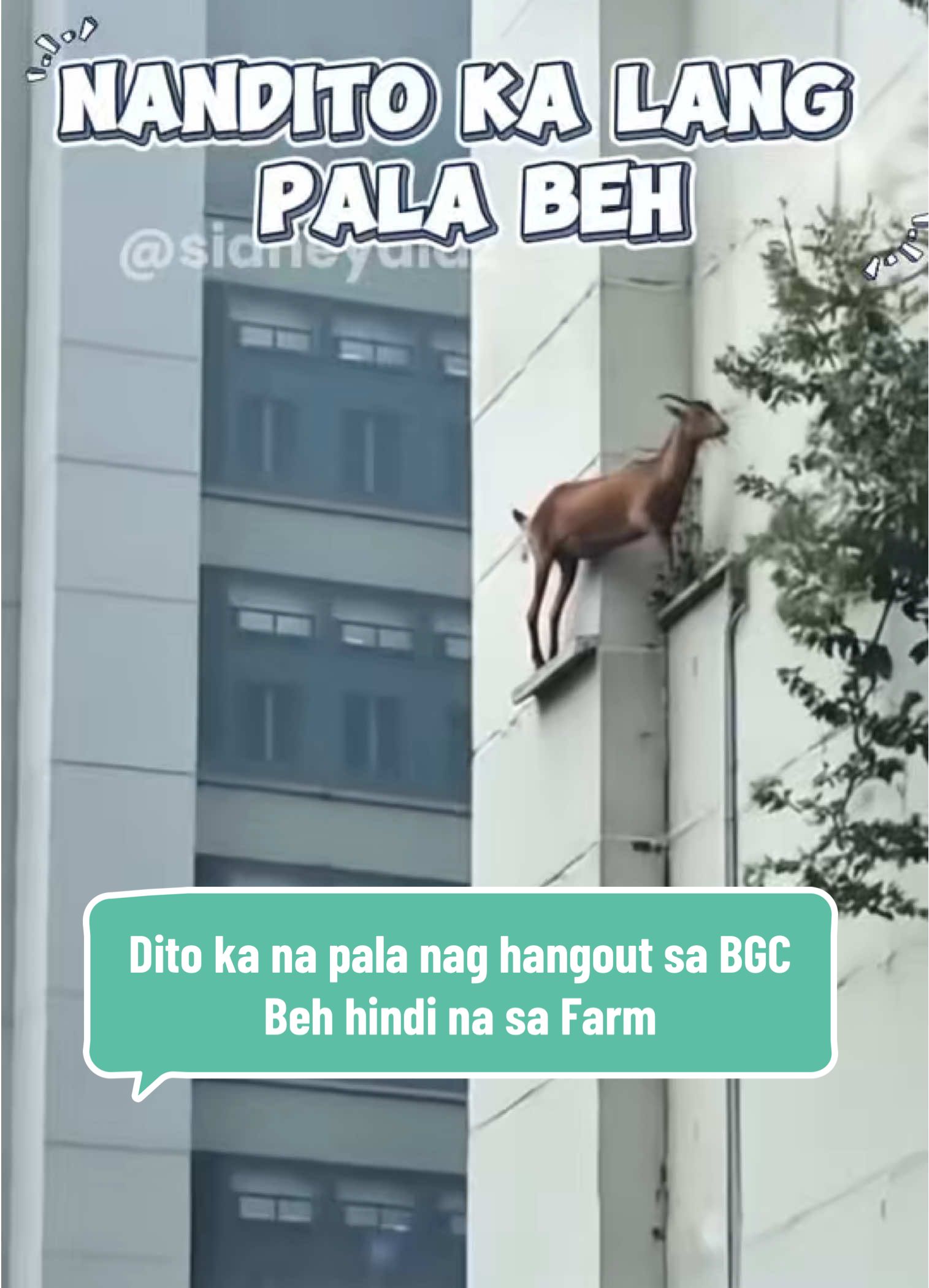 @BobetD