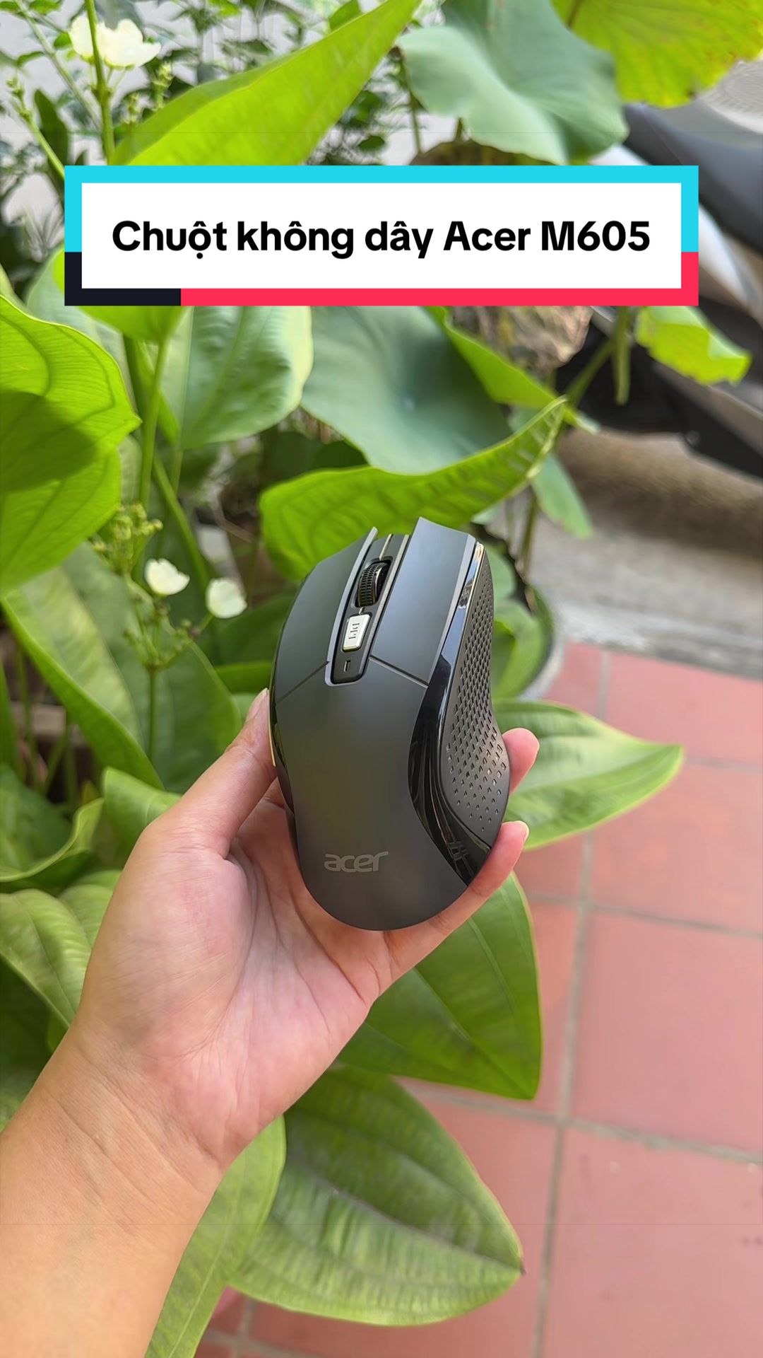 @Tuấn Bình Thường