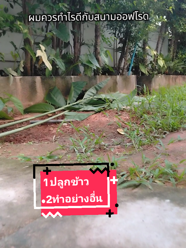 @โค้ก ลองของเล่น 40k