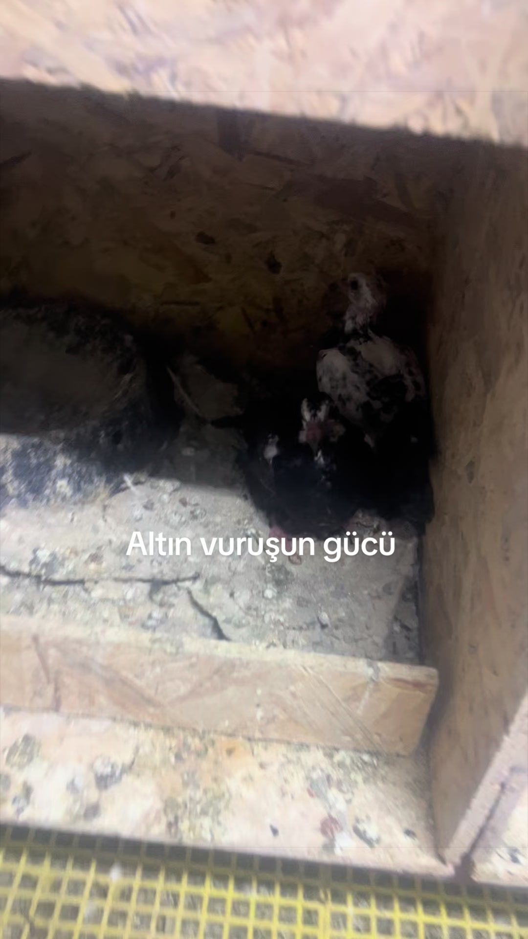 @Ahmet Yilmaz