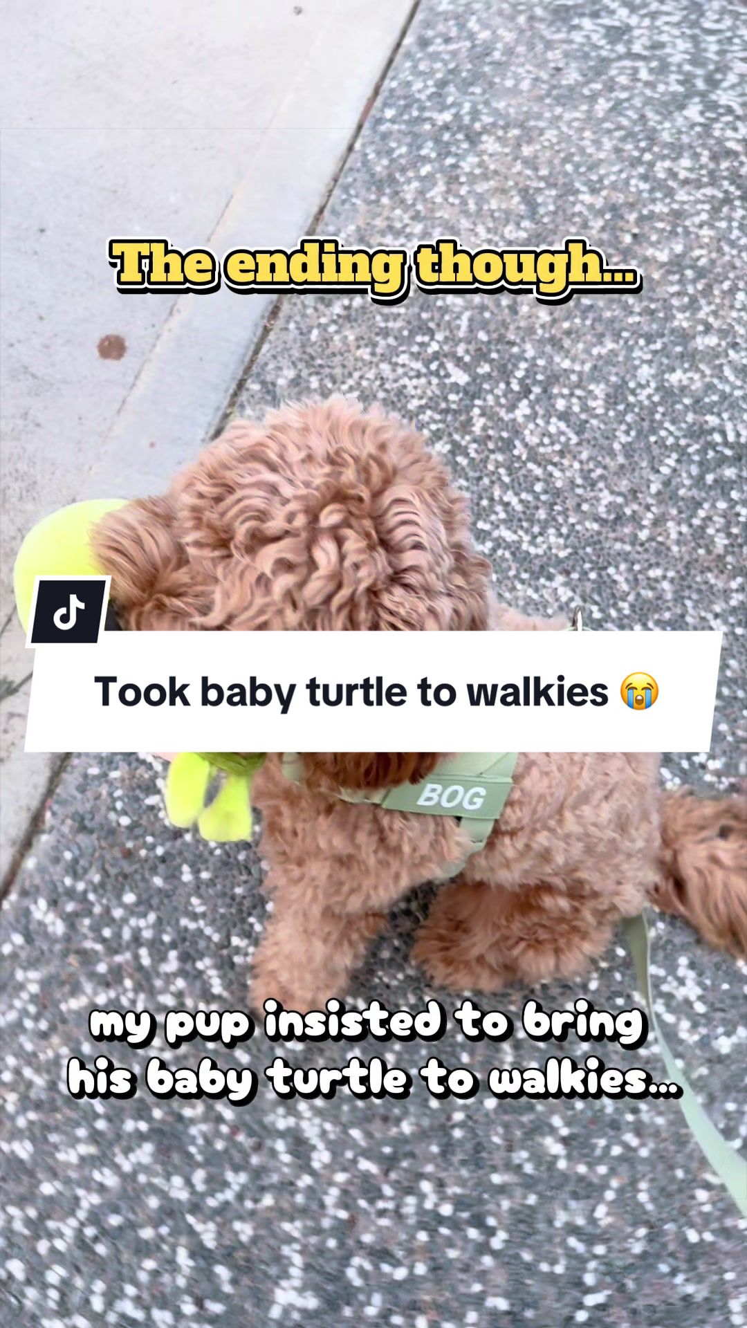 @Narlee&rsquo;s Funsies🧸
