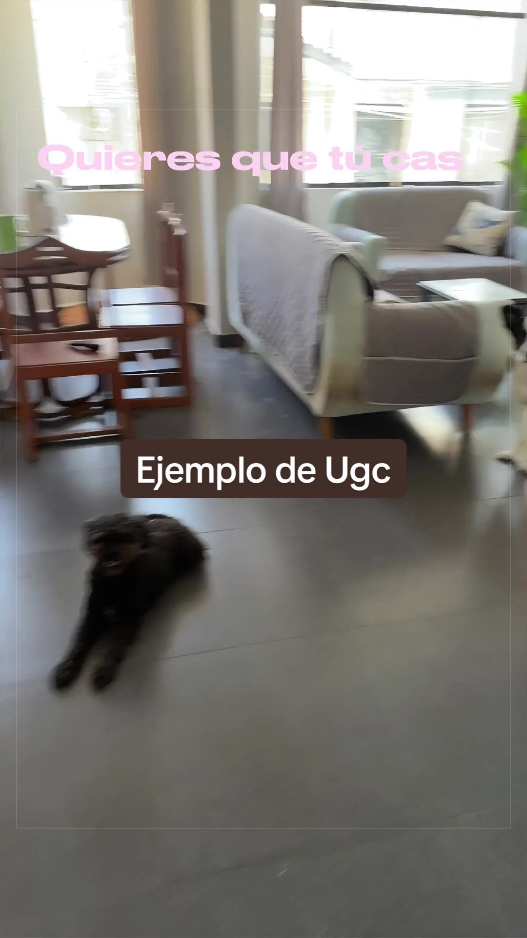 @Yessi Silva | Ugc