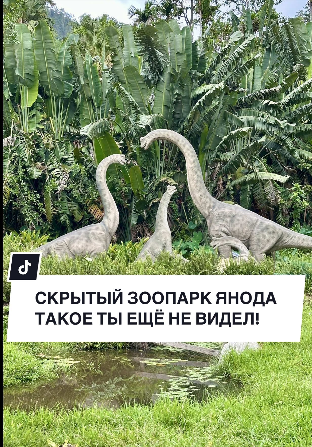 @NASI