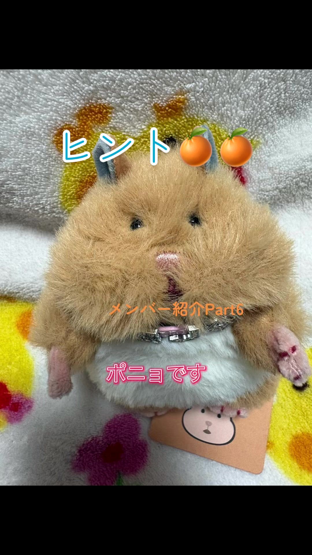 @はむにぎるね🌙