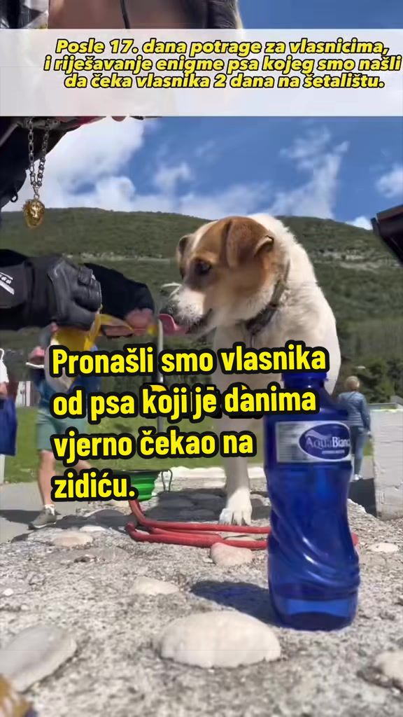 @Maja Kovijanic