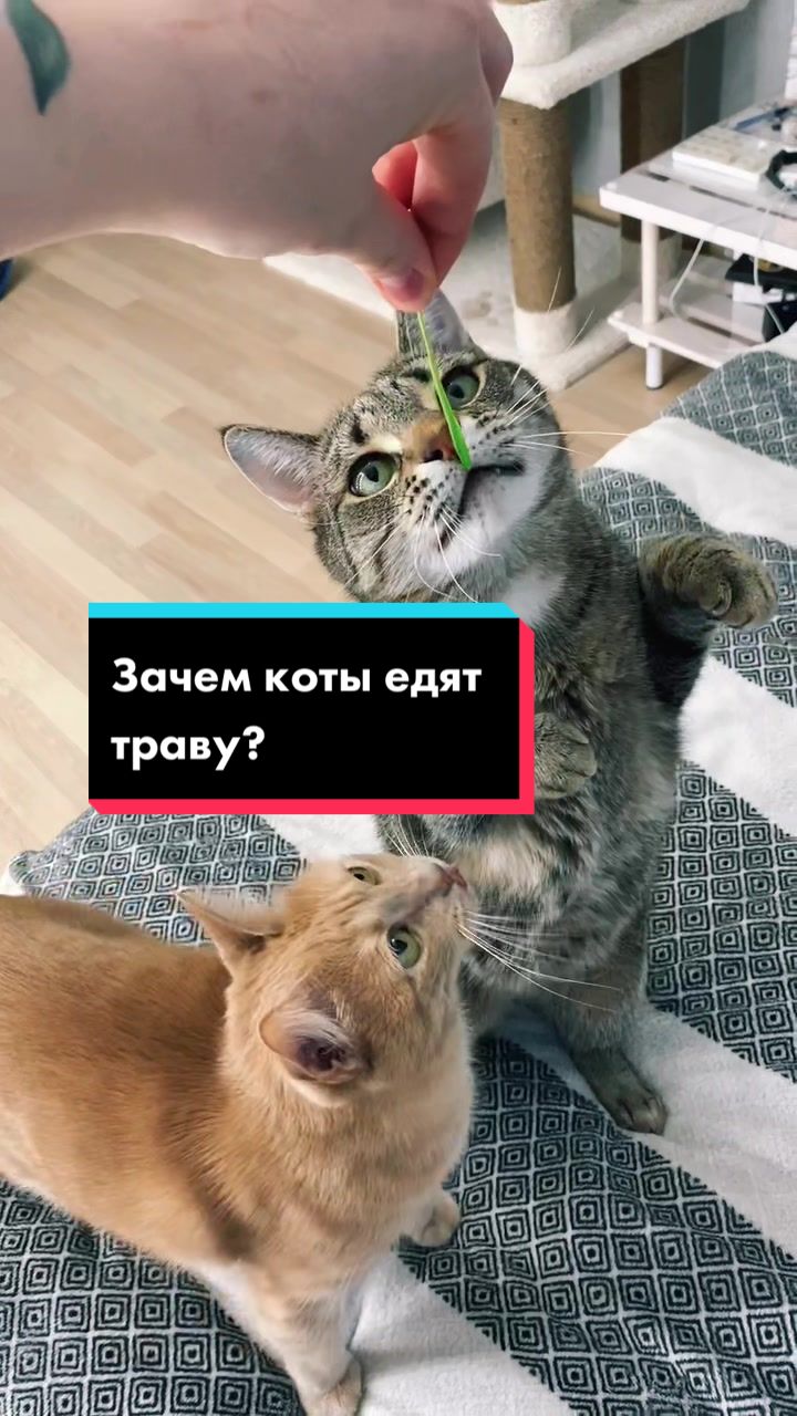 @Kristina
