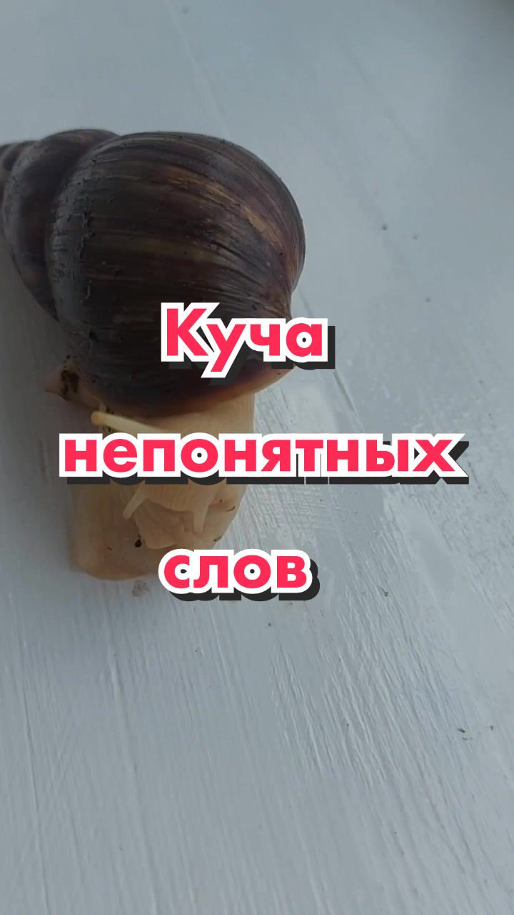 @🐌Яся Ясень🐌