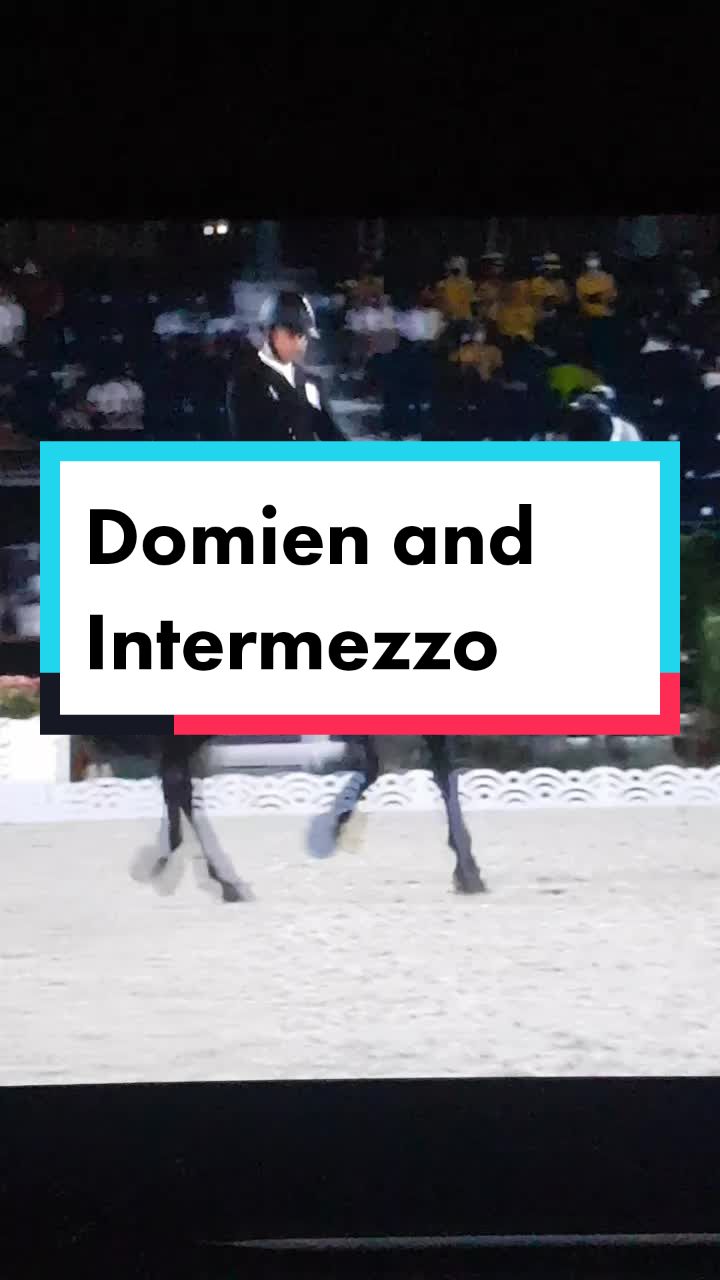 @Artline Dressage