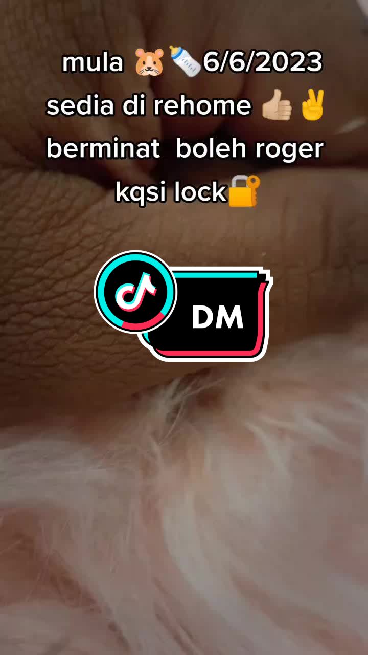 @tikusbelandamelaka