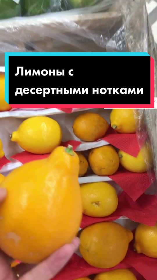 @Разрушительница мифов😎