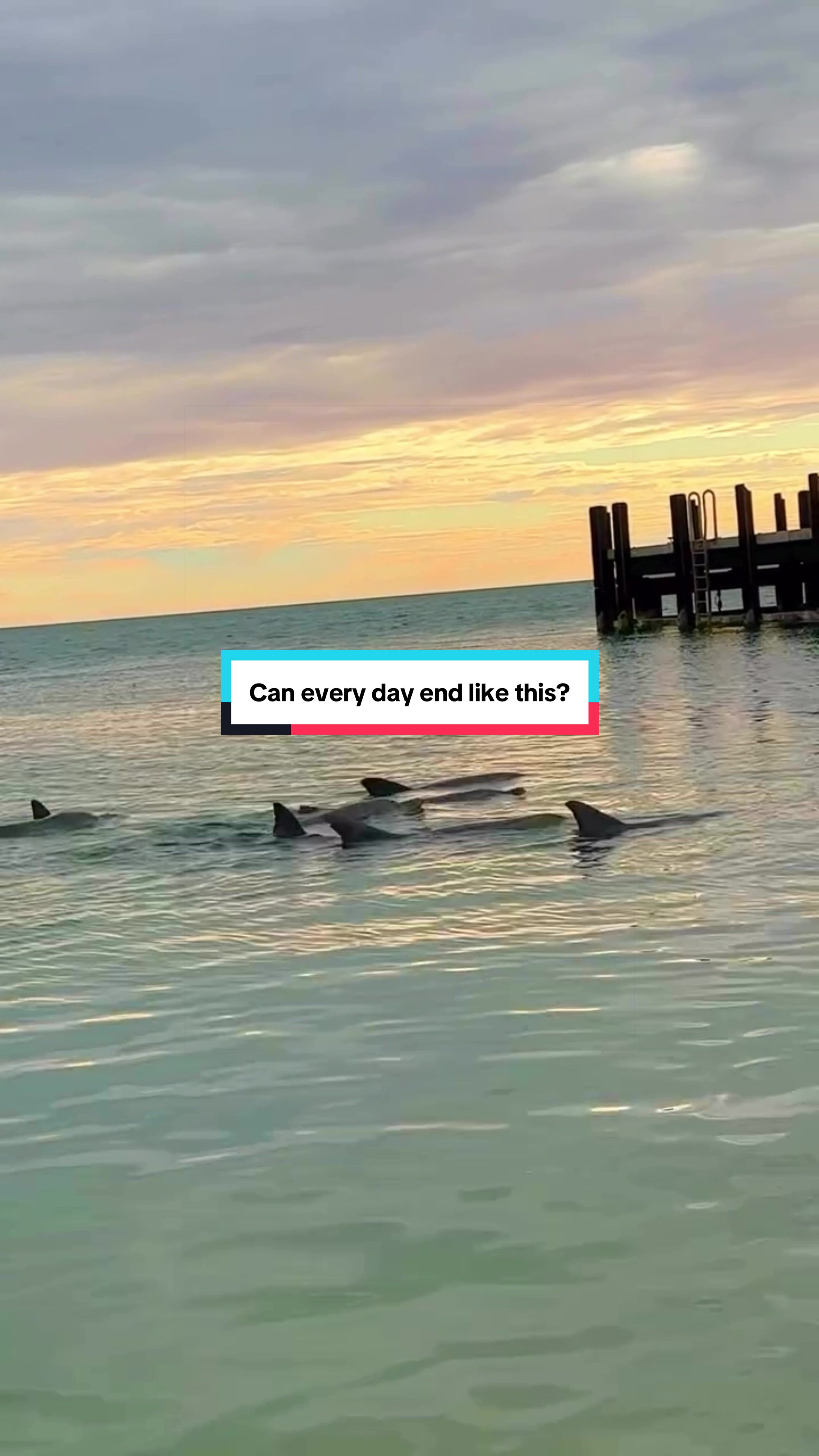 @Australia&rsquo;s Coral Coast