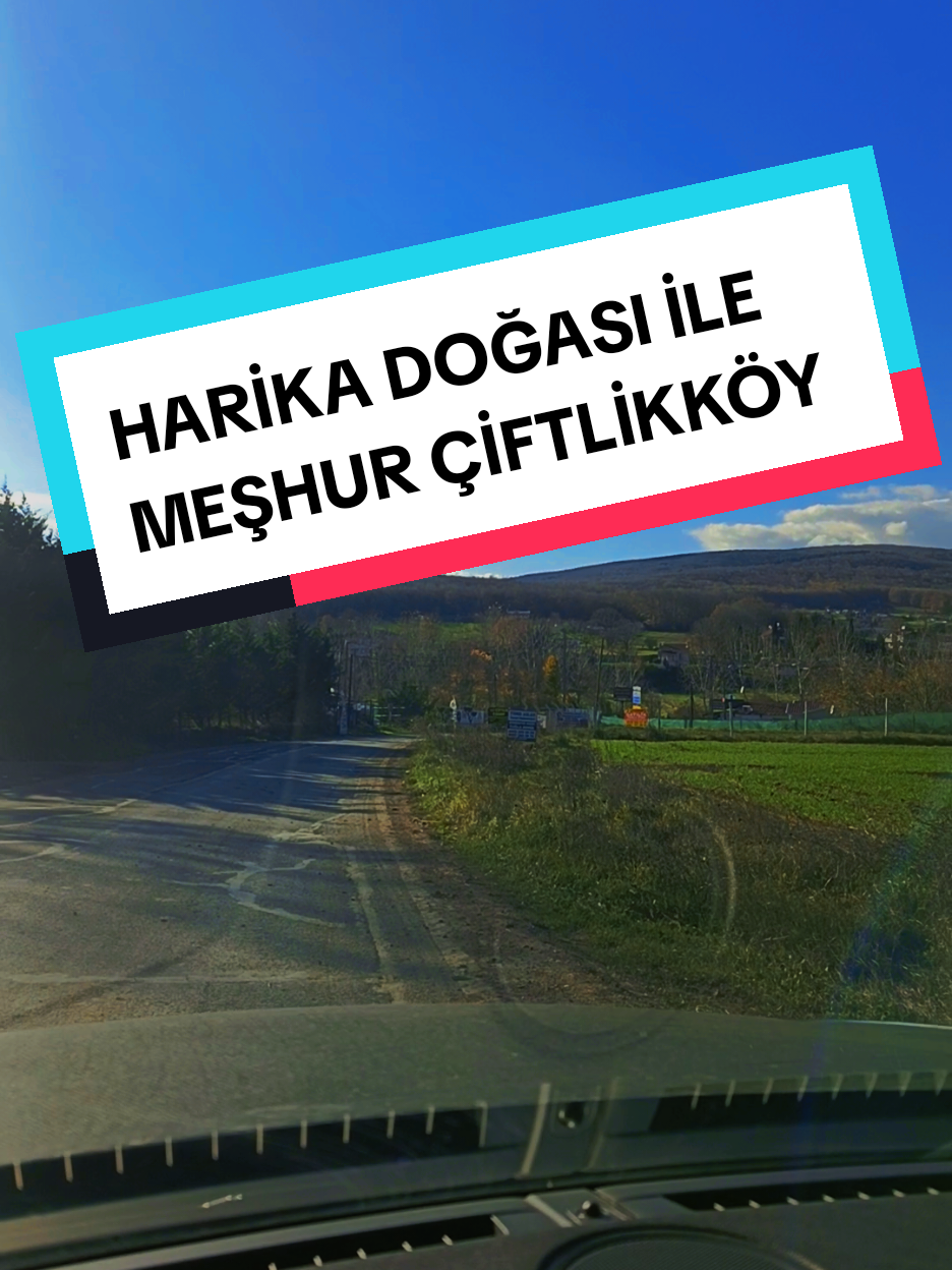@usta grup