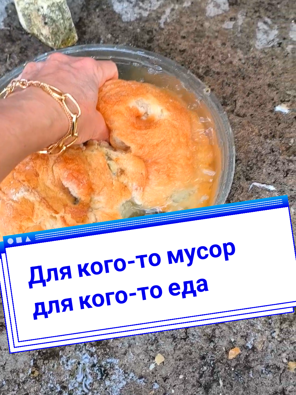 @Elena Barhat