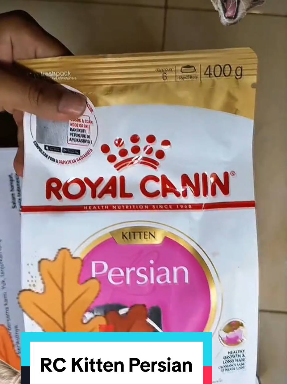 @Medayo Petcare