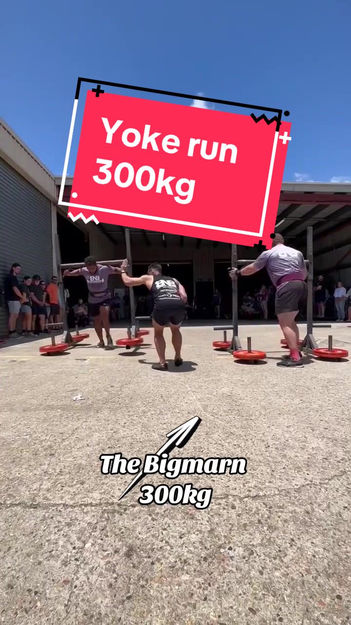 @Josh Stevens ( Bigmarn )