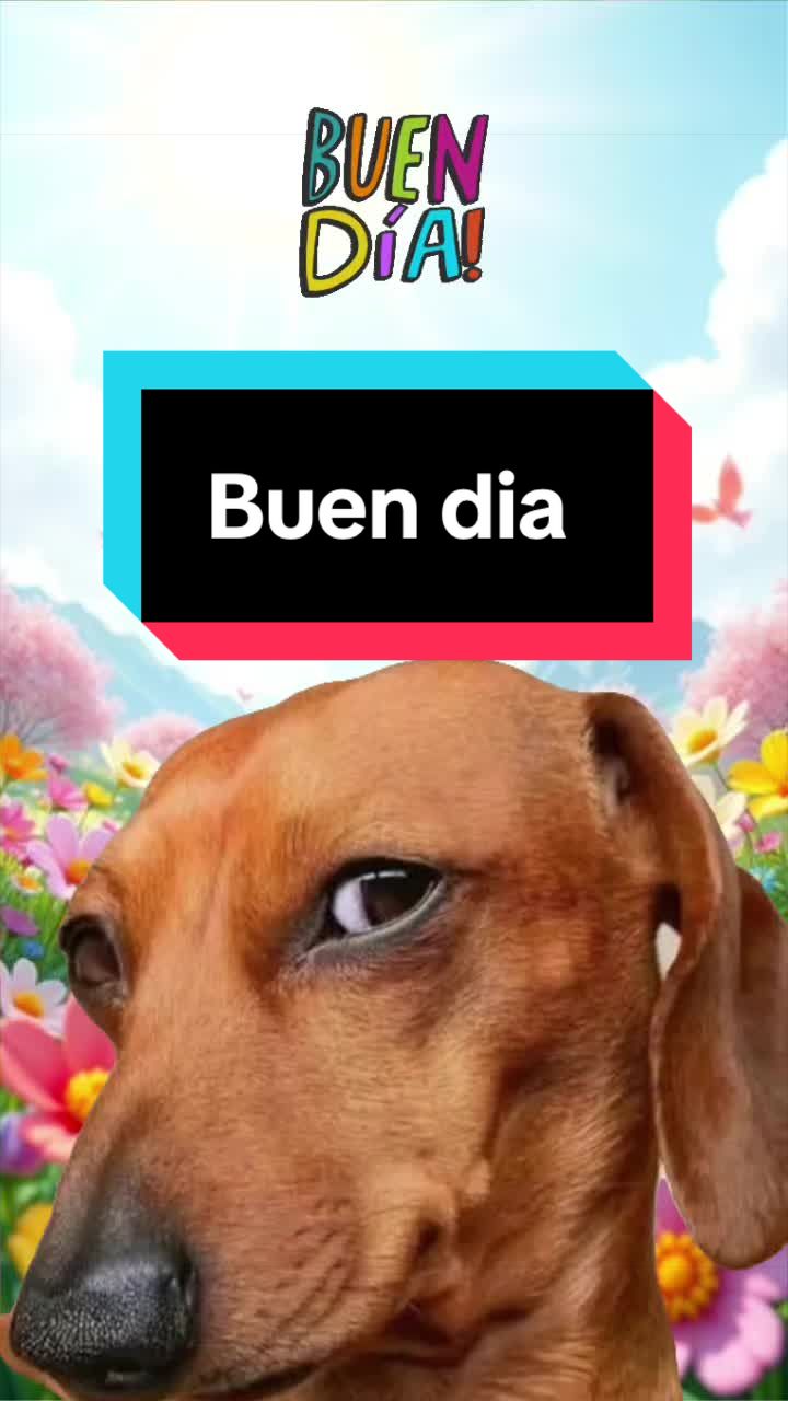 @Mimi