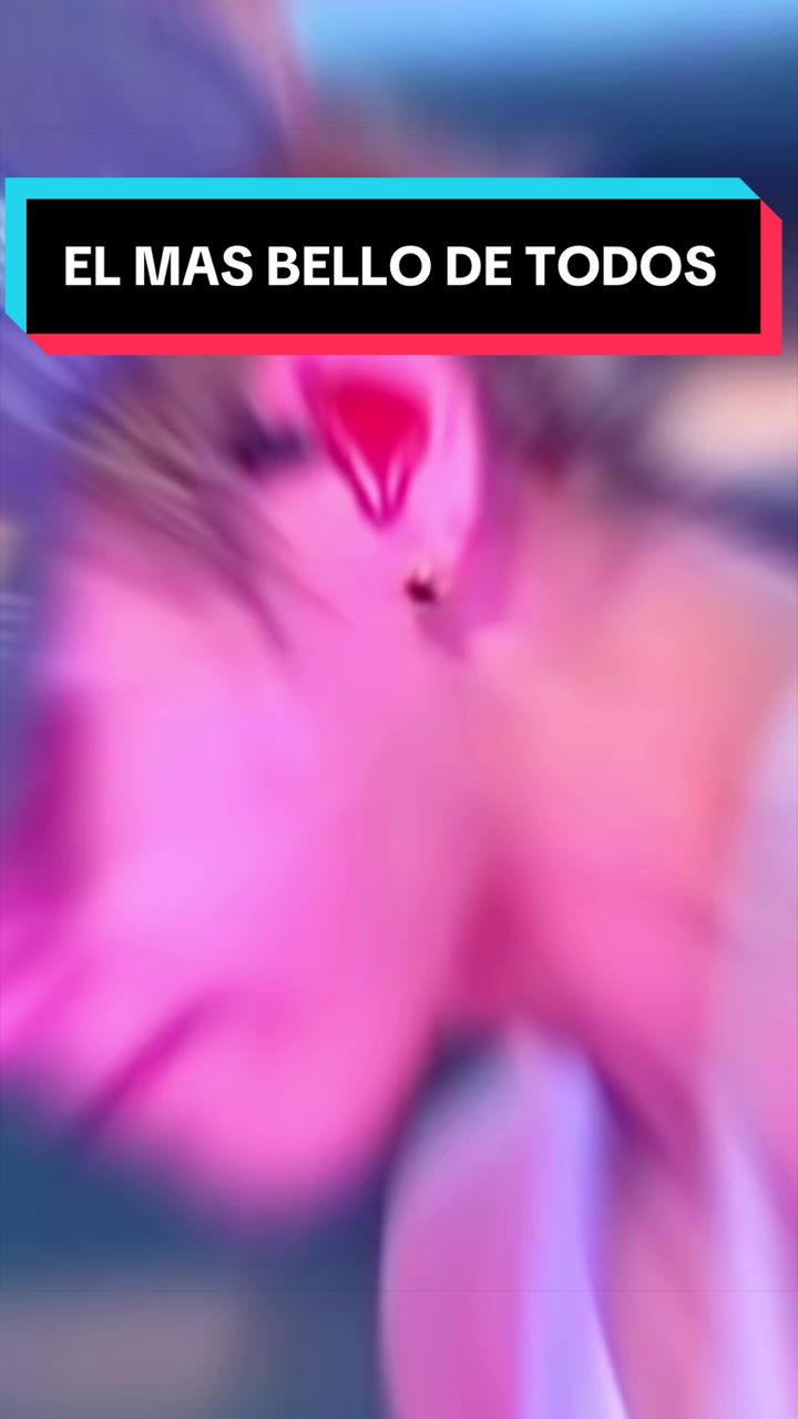 @๐ก๐๐ช๐ถโฐ