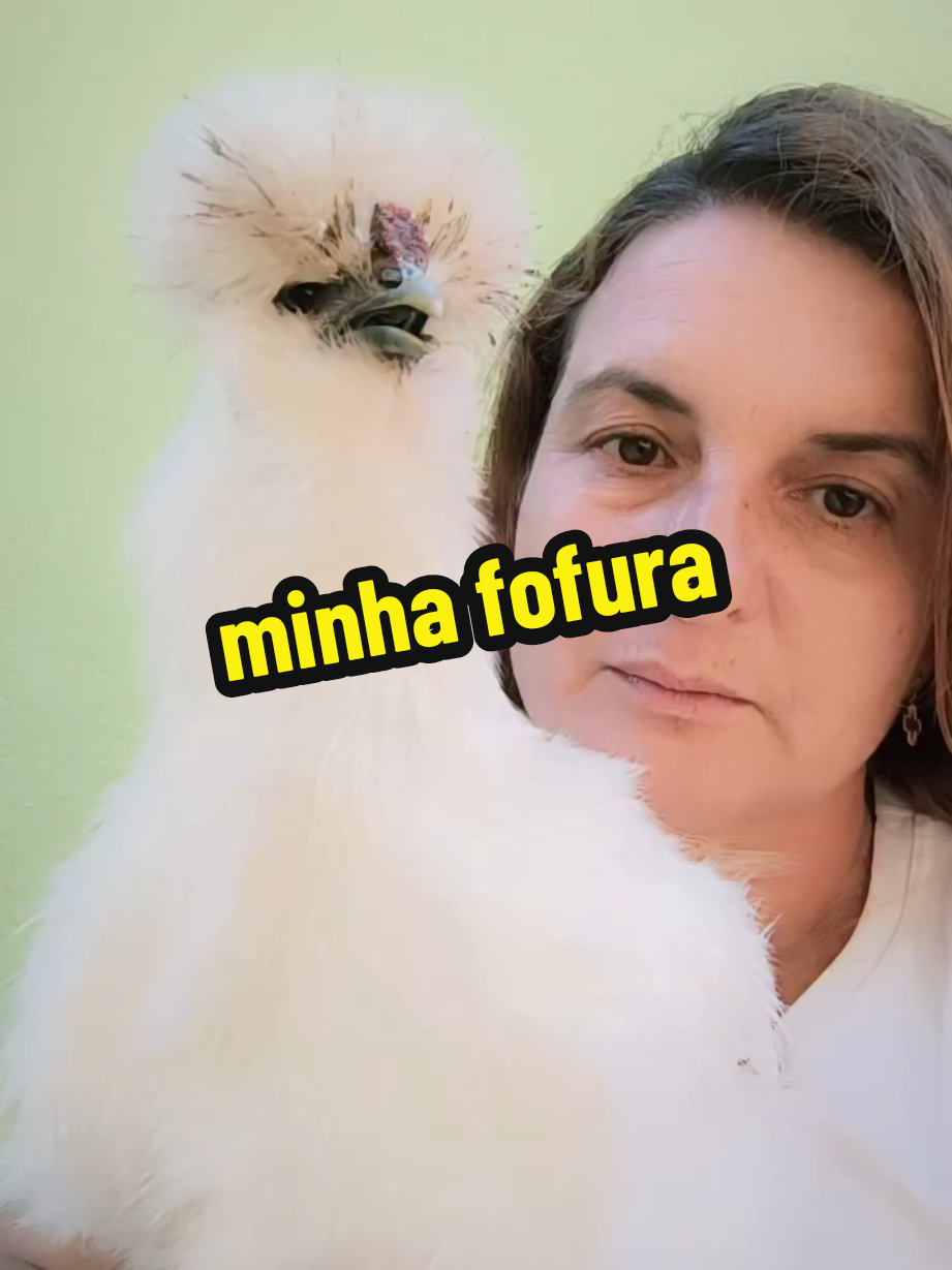 @Elaine Fernandes