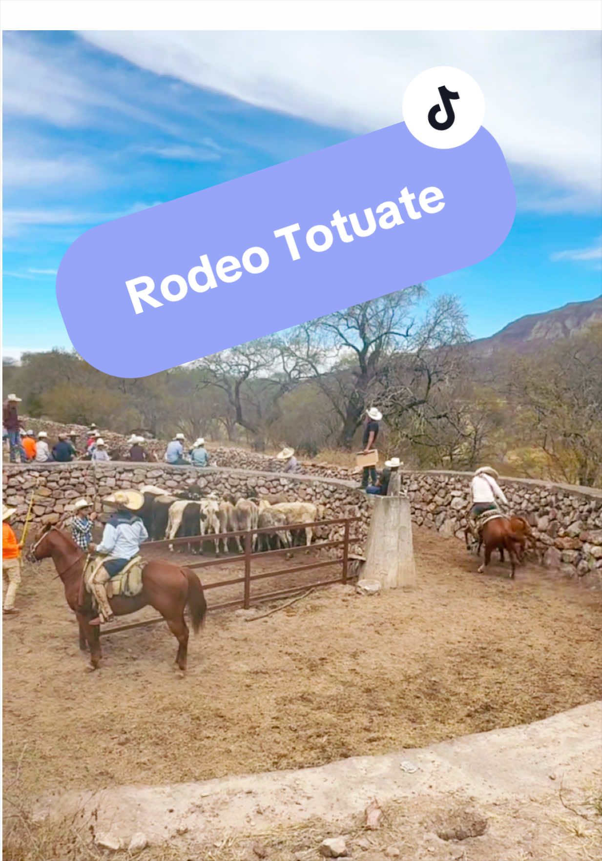 @Nostic Jalisco, México