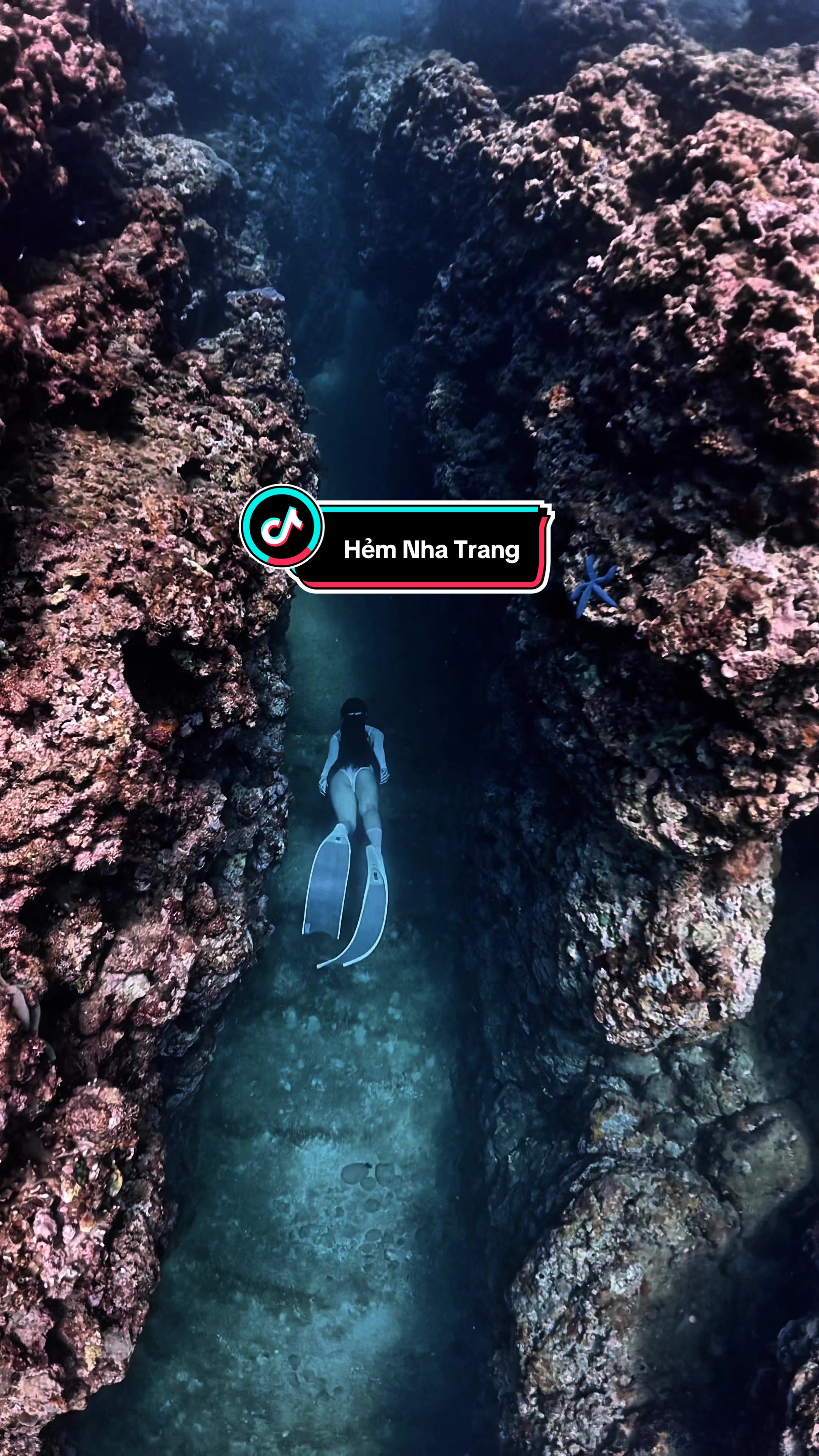 @Love Freediving Nha Trang