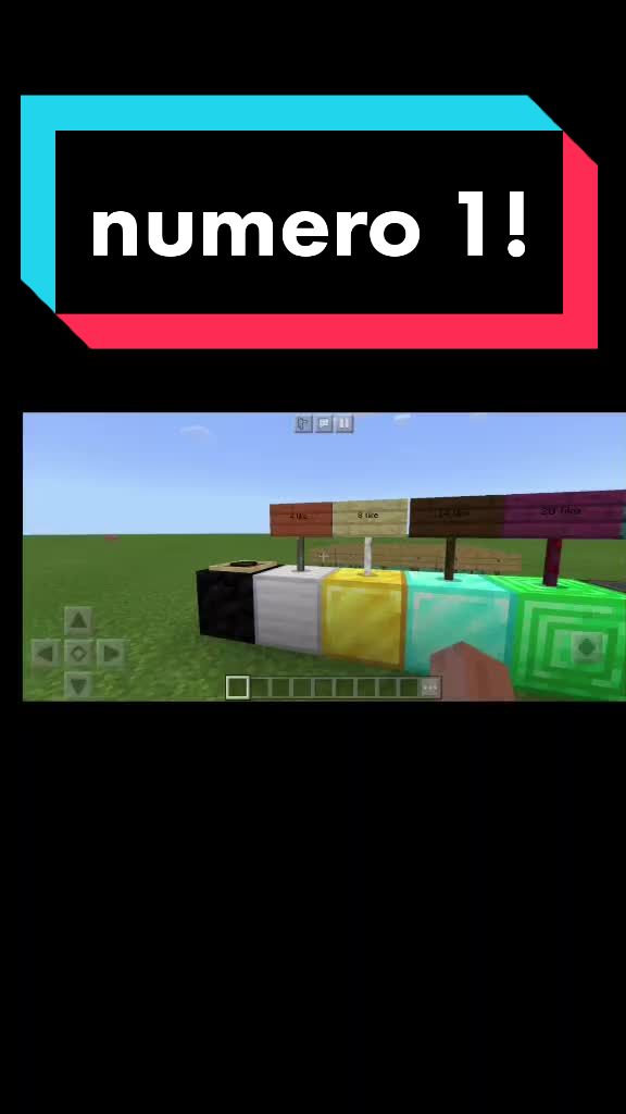 @minecraft_gamer_