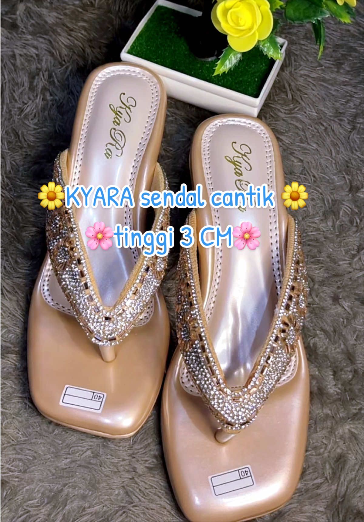 @🦋Fitry_kitty🦋