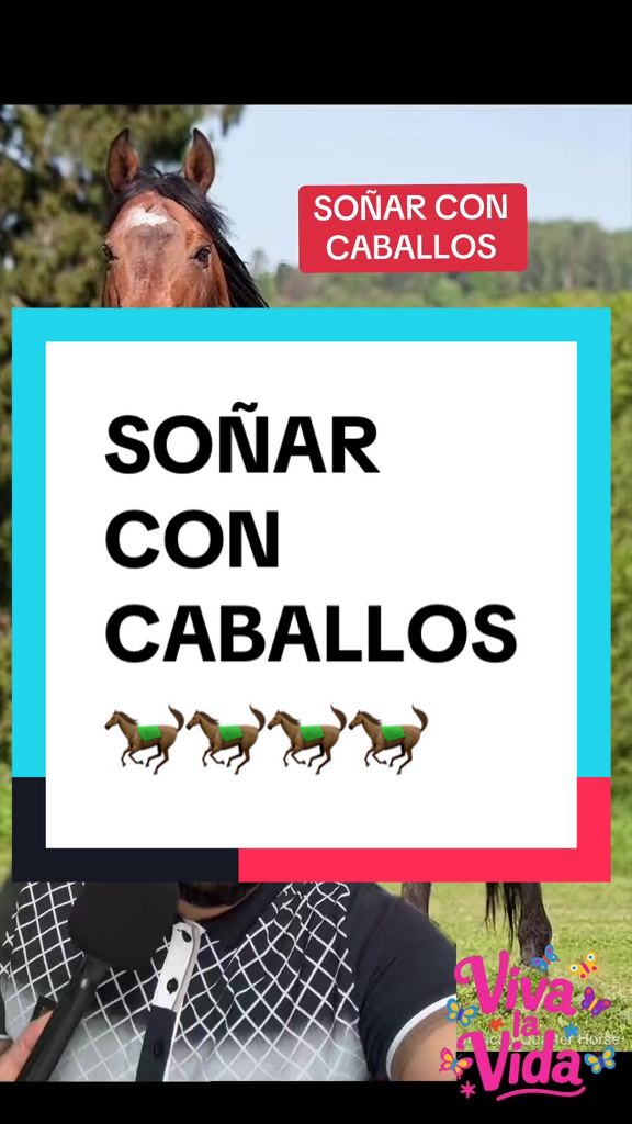 @Jorge Bechara 𓂀