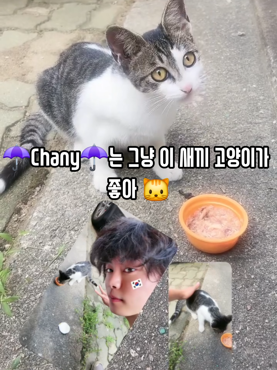 @๐Sera_pickleโ๏ธChanyโ๏ธ