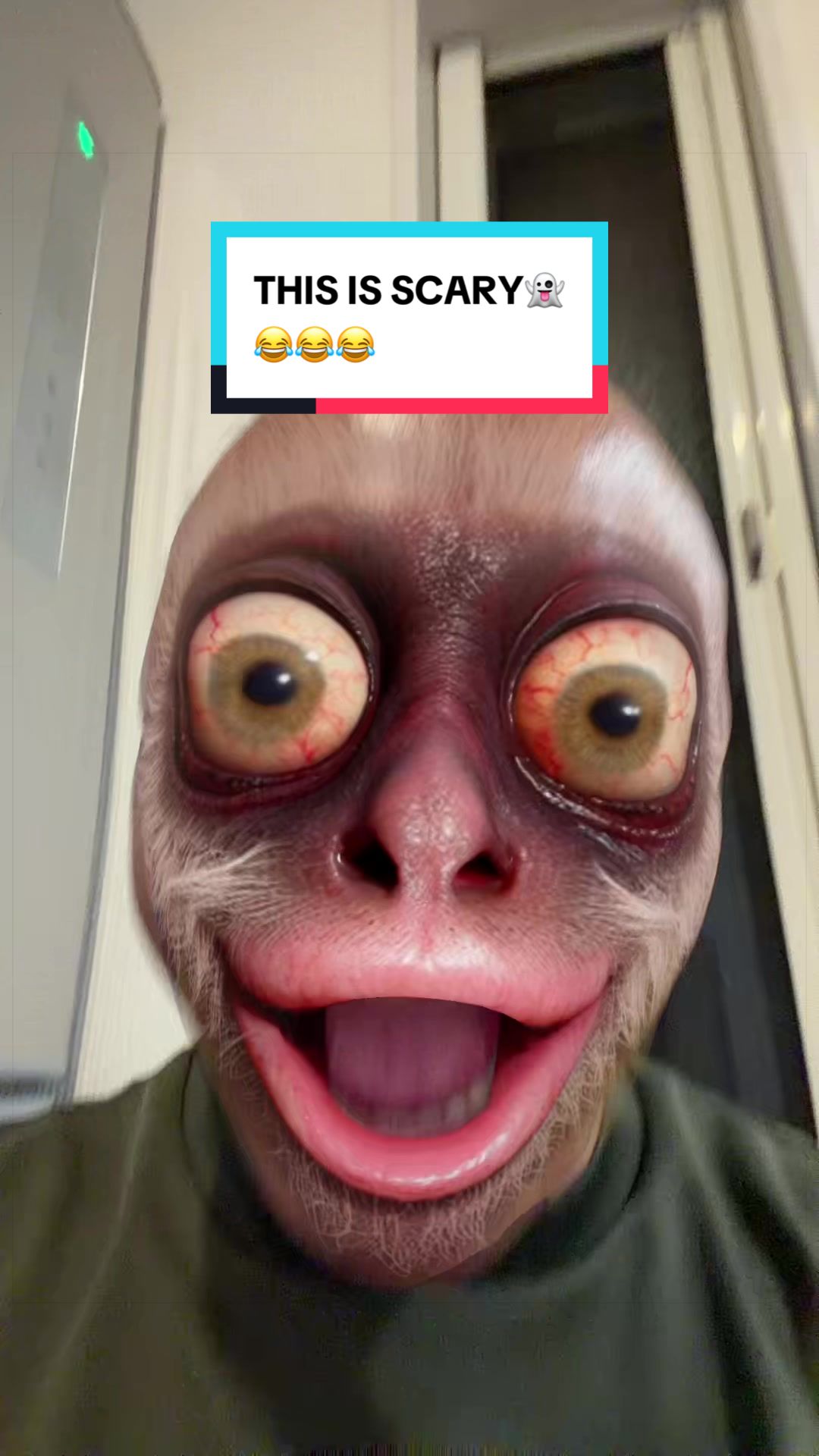 @donguri