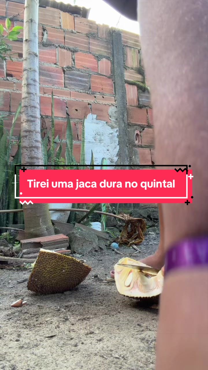 @ericacaetanoofc
