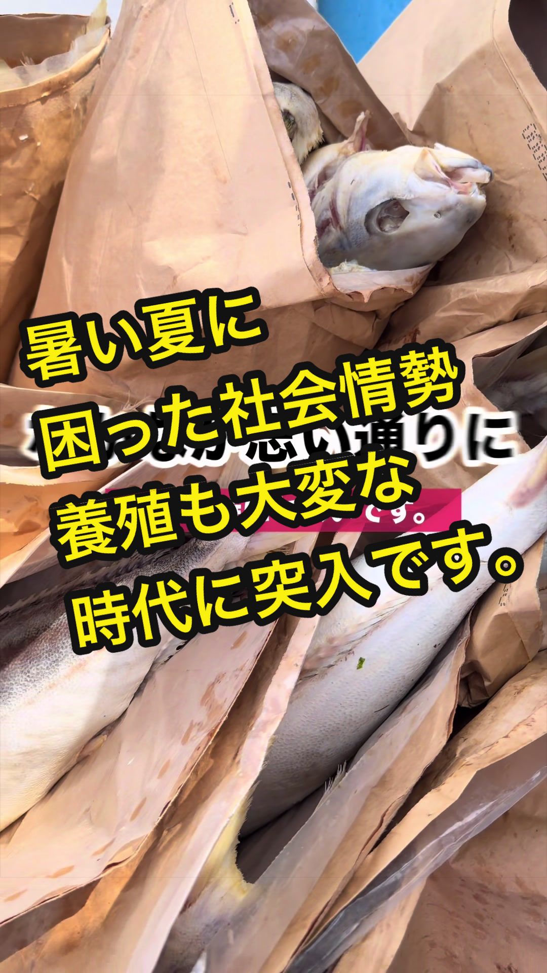 @長崎のイケメン漁師@坂野水産