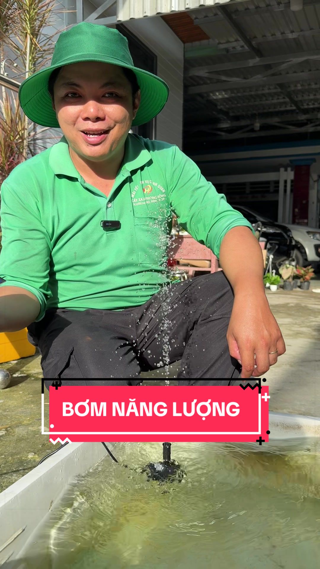 @Cây Xanh Phong Hồng