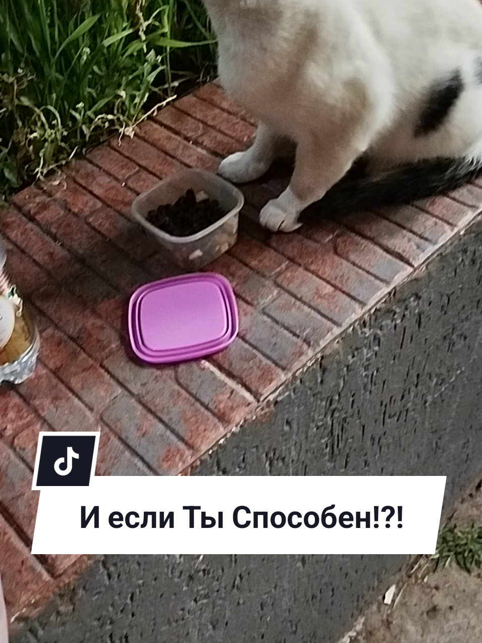 @IRINA
