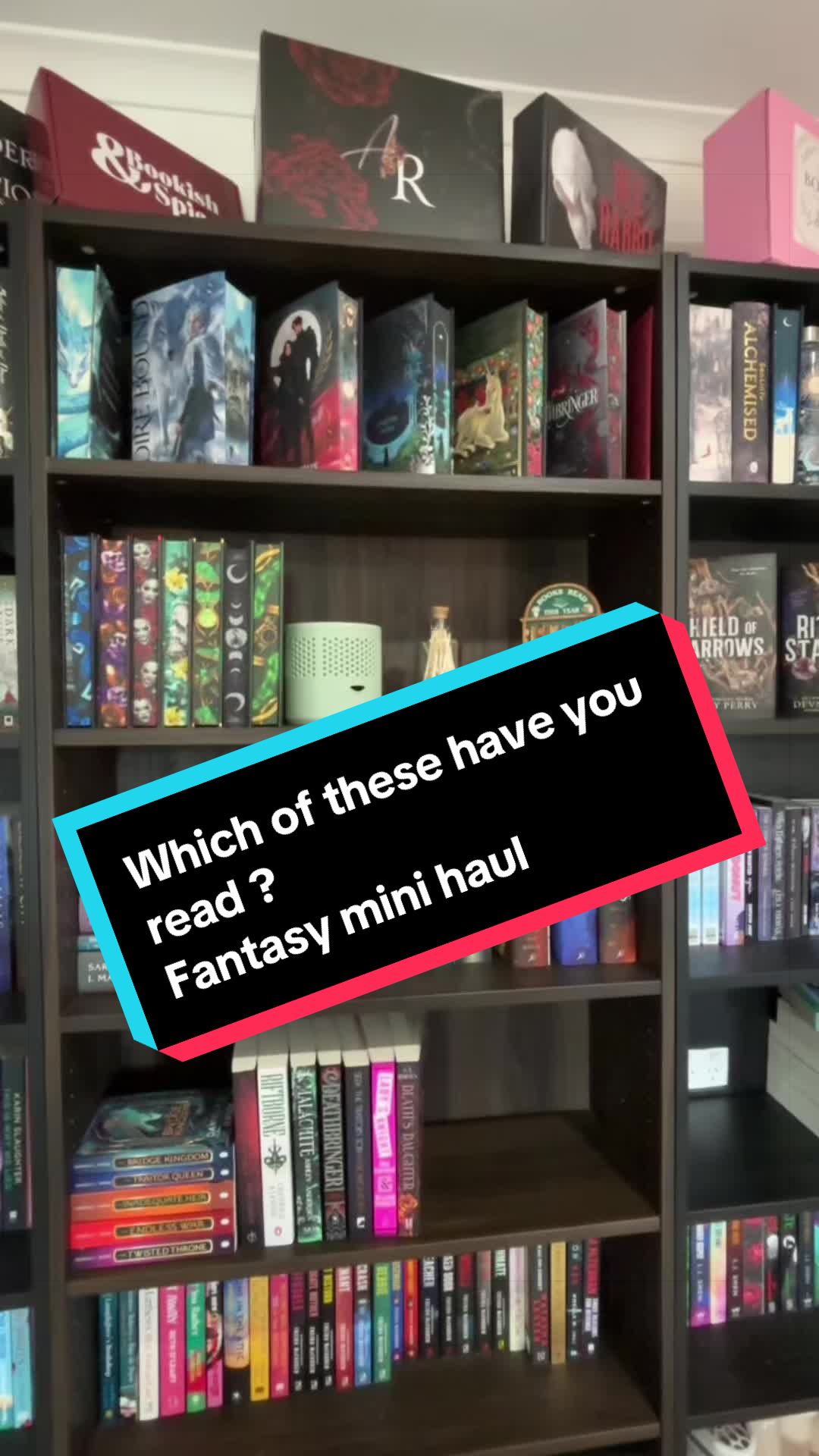 @💐 shay's book corner 💐
