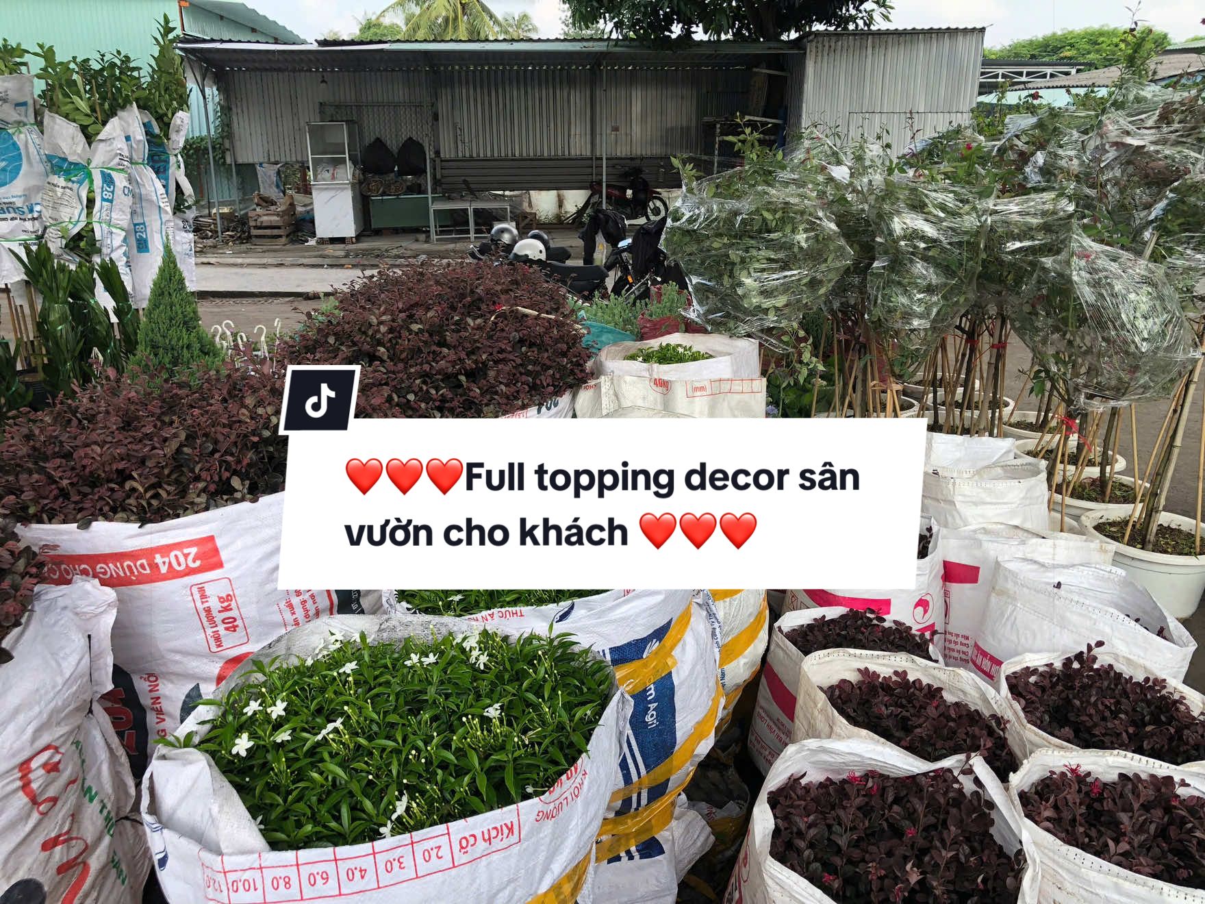 @Tiệm Lá Nhỏ