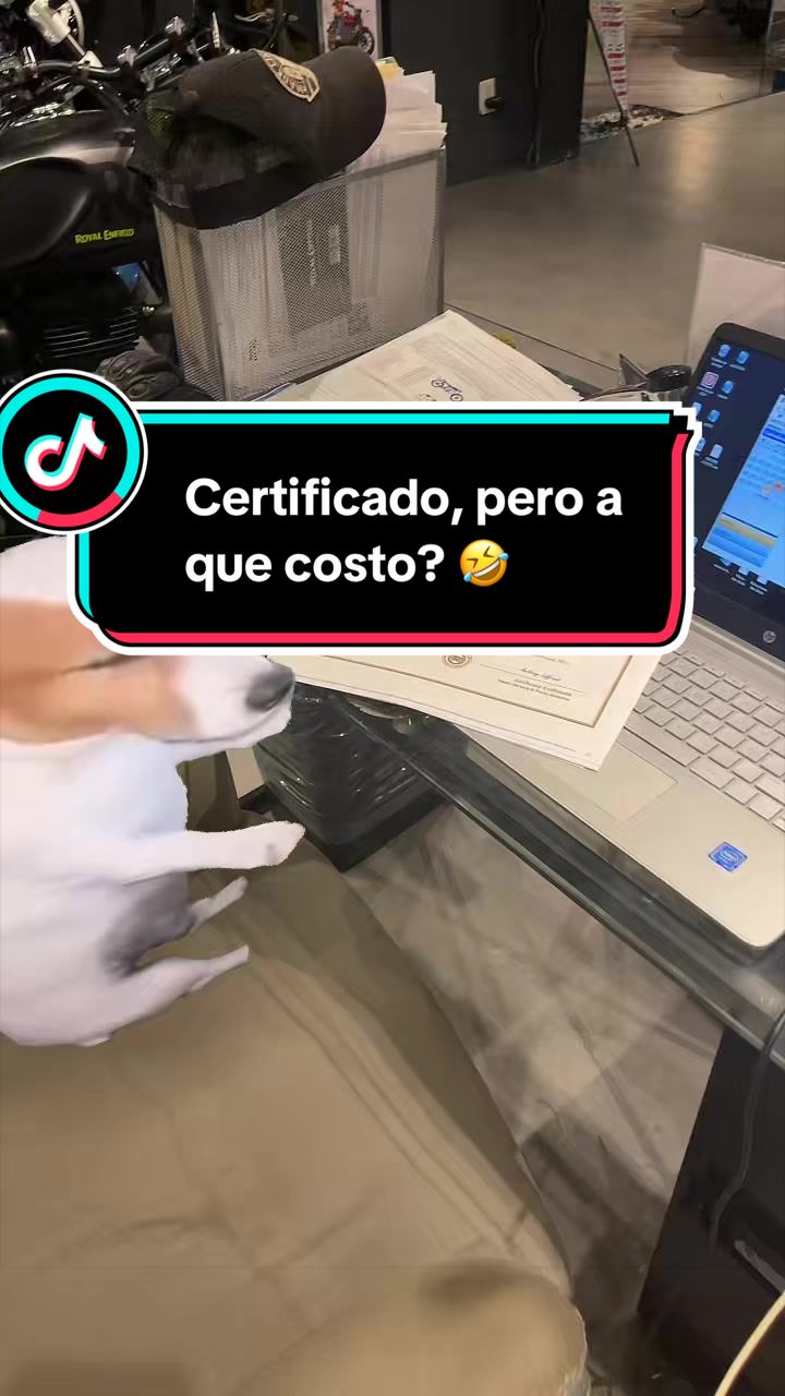 @Benjamin Camacho