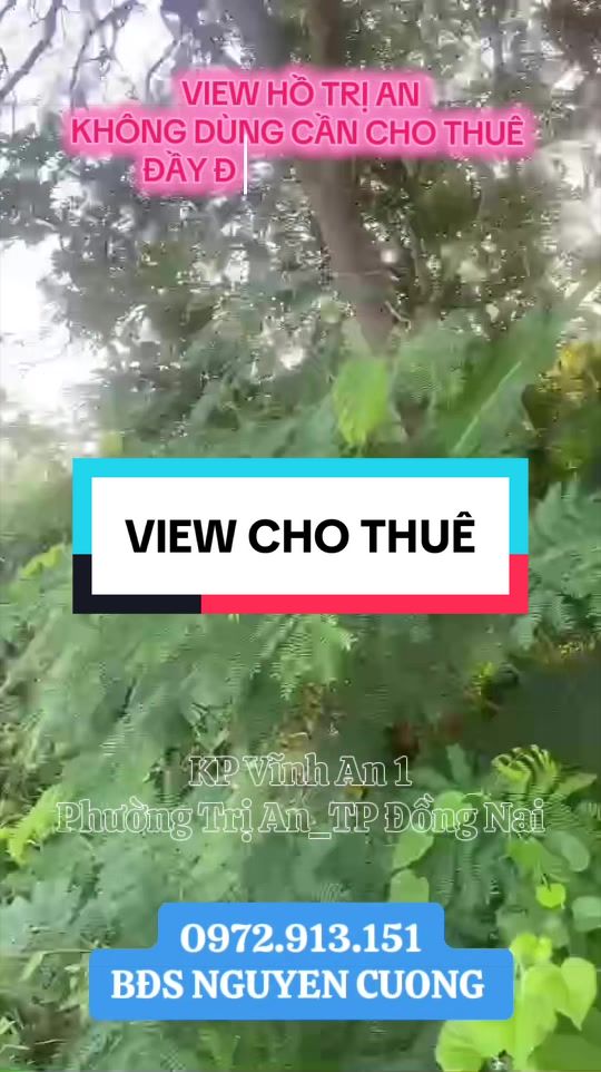 @💞 Nguyễn Cường🇻🇳