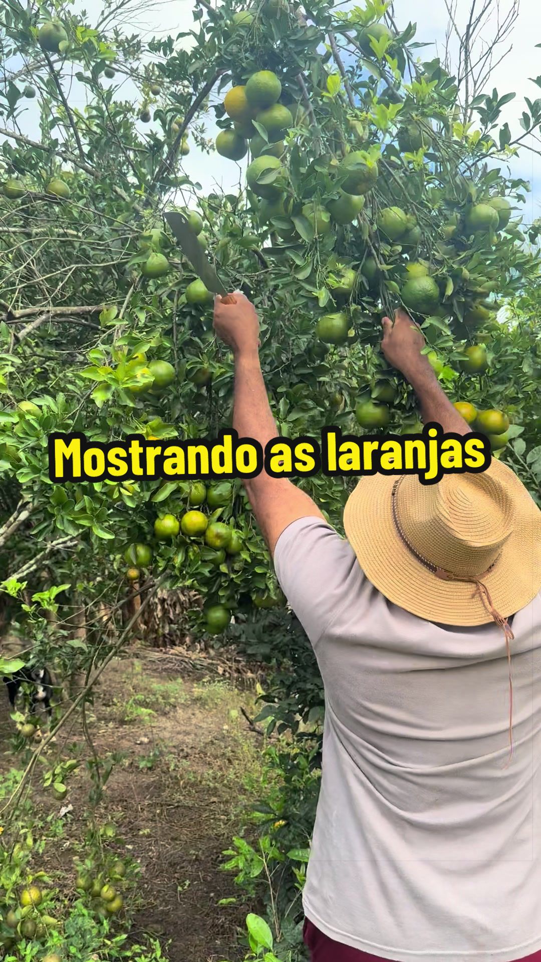 @Ant&ocirc;nio Moreno
