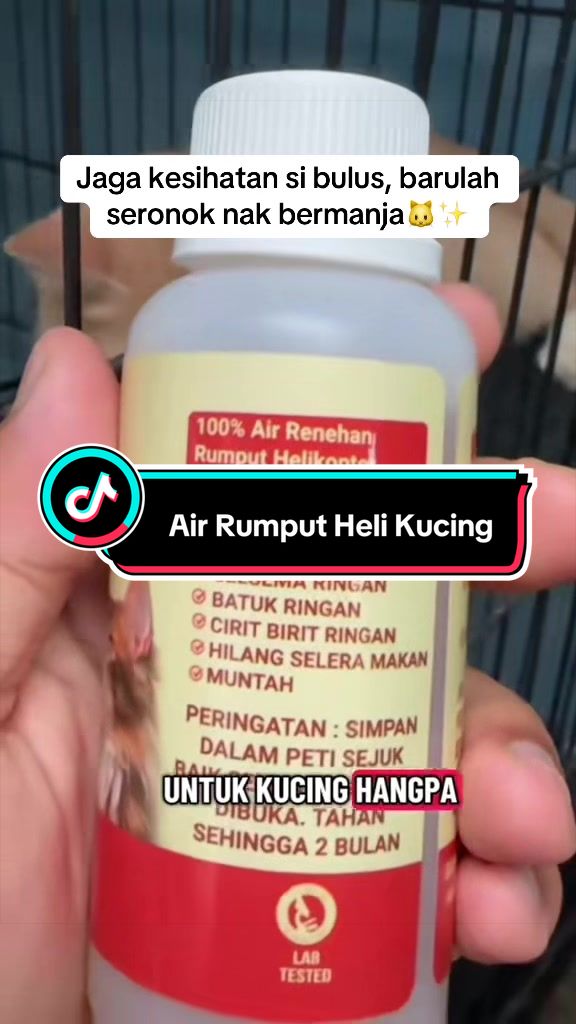 @azharfauzishop