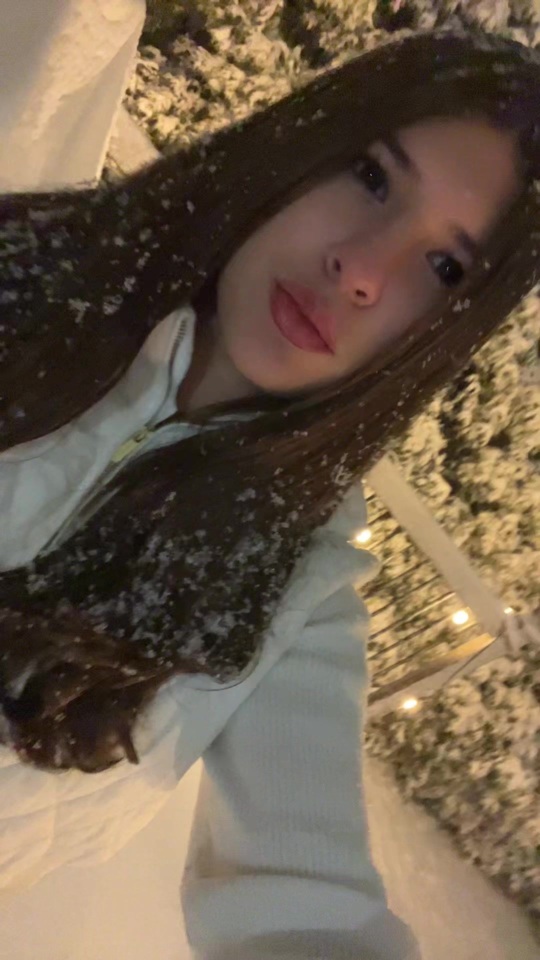 @archvdamy