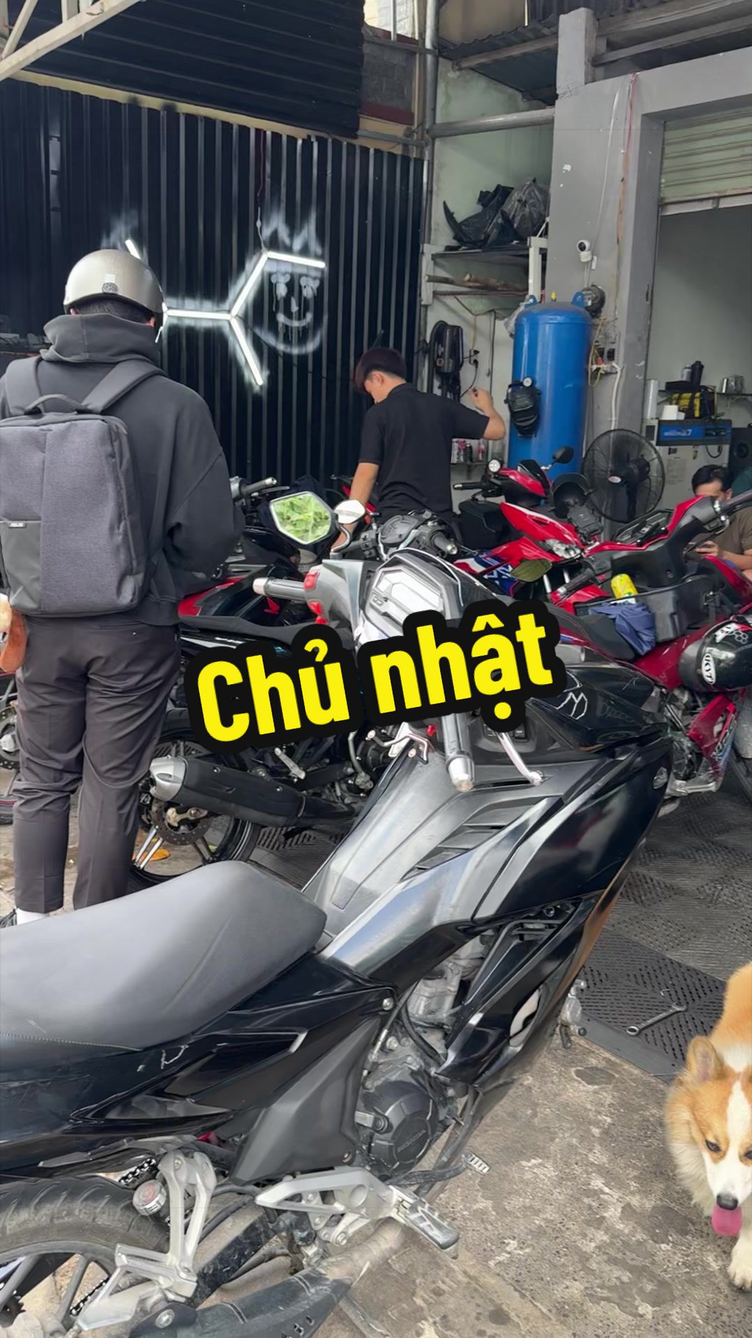 @Đạt Là 🇻🇳